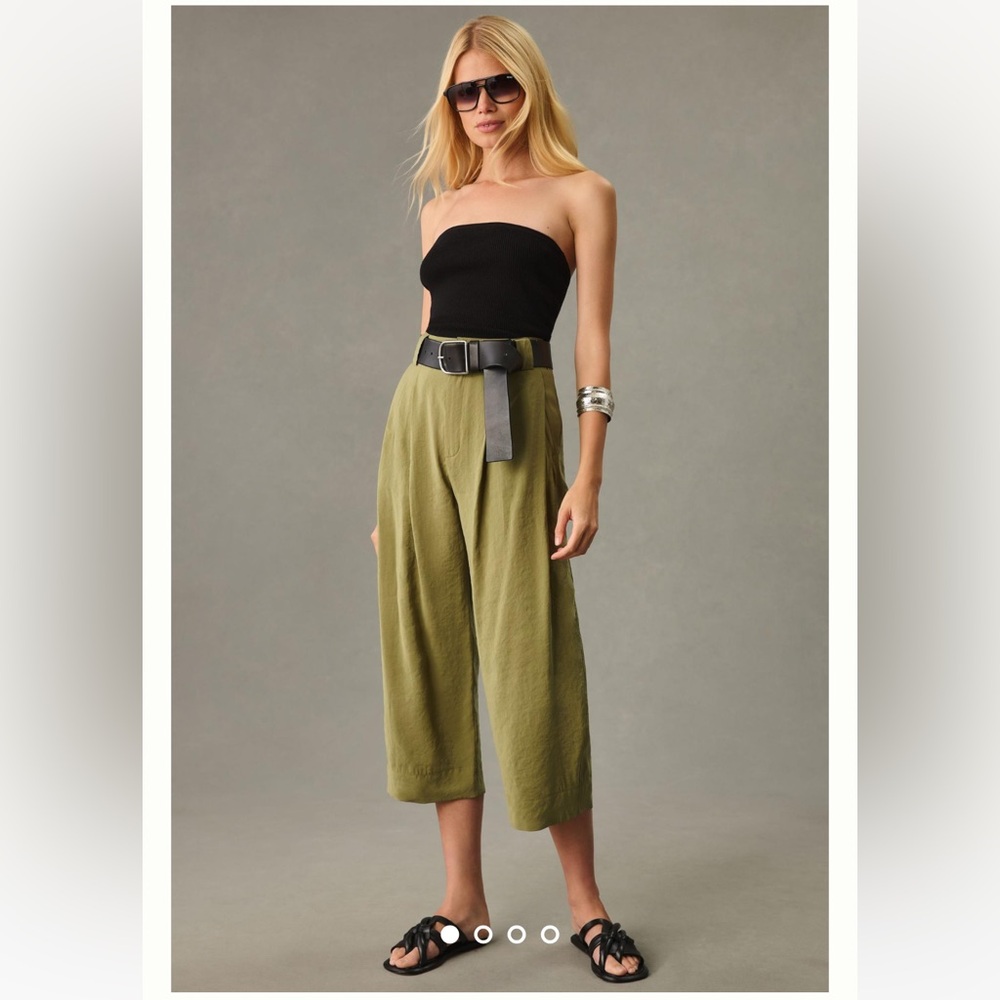 Cropped Pleated Trousers by Anthropologie - Sz 6